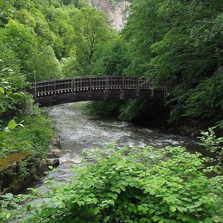 Biohof Laibacher Stubenberg Exterior foto